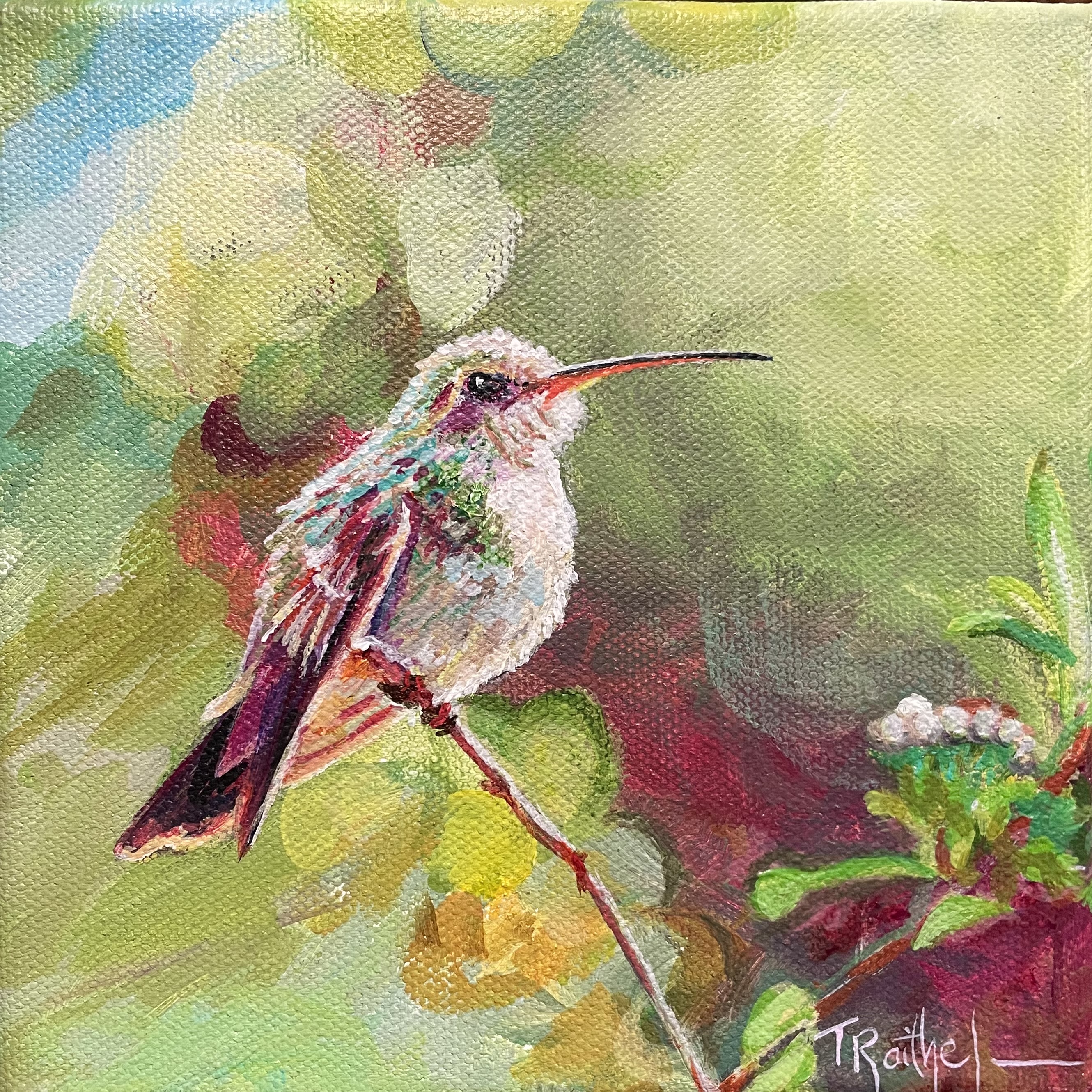 The Humming Bird